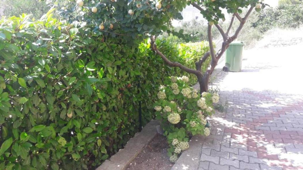 Stars Palace Zaboric Bagian luar foto